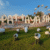 Profile picture of Pattaya Sheep Farm