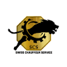 Profile picture of https://www.swisschauffeurservice.ch/services/ski-transfer