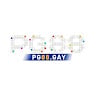Profile picture of pg88gay
